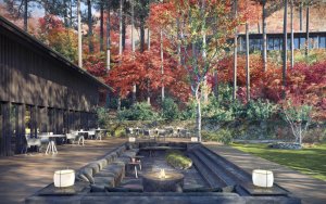 natürlicher innenhof im aman luxus resort kyoto japan