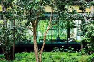 ruhiges cafe in der natur im luxus hotel aman tokyo japan