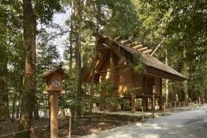 Amanemu - Ise Shrine - Wald