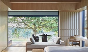 Blick auf den Garten über den kombinierten Wohn- und Schlafbereich in der Mori Suite im Amanemu Japan