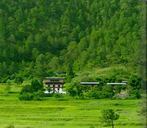 bhutan amankora paro in der traumhaften grünen natur
