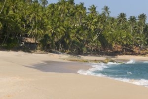 wunderschöner sandstrand im amanwella aman hotels in sri lanka indischer ozean