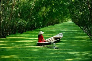 entdecken Sie die wunderschöne Natur Vietnams auf der Aqua Mekong, Mekong Flusskreuzfahrt, Vietnam