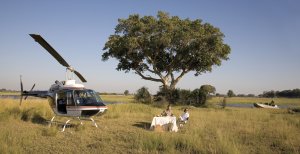 malerisches picknick im eagle island camp in afrika botswana okavango delta