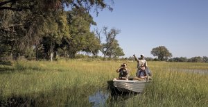 erlebnisreiche safari im eagle island camp in afrika botswana okavango delta