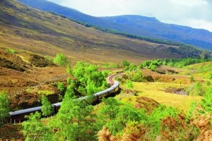 Fahrt des Belmont Royal Scotsman durch die Highlands mit saftigen Bäumen, weiten Wiesen und Bergen