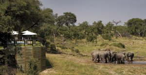 traumhafte terrasse mit pool und blick auf elephanten im savute elephant camp in afrika botswana chobe nationalpark