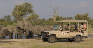 traumhafte safari im savute elephant camp in afrika botswana chobe nationalpark