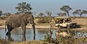 wunderschöne safari im savute elephant camp in afrika botswana chobe nationalpark