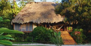 malerische cabana in der blancaneaux lodge in lateinamerika belize san ignacio