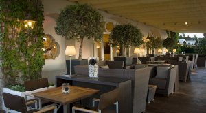 gemütliche Cocktails an der bar im capri palace hotel und spa in italien