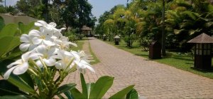 wunderschöne Hotelanlage mit Garten im Carnoustie Ayurveda & Wellness Resort, Kerala, Indien