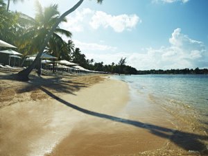 wunderschöner Strand im Casa de Campo Golfresort Dominikanische Republik