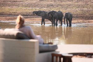 elefanten im fluss im luxus chinzombo camp luangwa valley in sambia afrika 