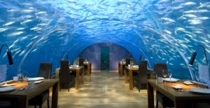 spektakuläres restaurant unter dem meer auf den malediven im conrad maldives rangali island