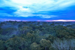 erleben Sie den Amazonas hautnah in der Cristalino Lodge, Amazonas, Brasilien 
