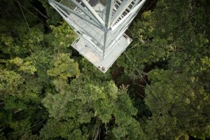 aus naechster naehe die natur beobachten auf dem observation deck der cristalino lodge, amazonas, brasilien