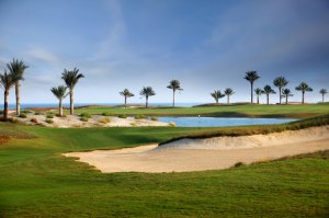 Golfplatz - Saadiyat Beach Course Abu Dhabi  