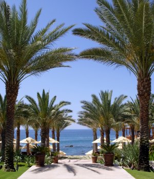 traumhafte palmen und meer im luxus resort esperanza relais & chateaux los cabos mexiko