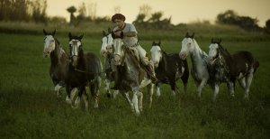 reiten auf pferden in der el colibri lodge buenos aires argentinien südamerika