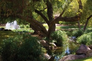 USA Arizona The Fairmont Scottsdale Princess wunderschoene Gartenanlage Lagoon Lawn 