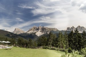 Forestis Dolomites