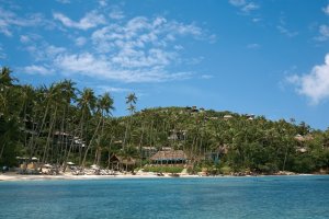 weisser sandstrand und palmen im four seasons resort luxusresort thailand koh samui