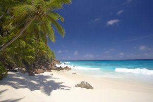 weisser sandstrand unter palmen im fregate island private resort auf den seychellen