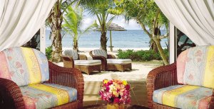 malerischer strand unter palmen im galley bay in der karibik antigua