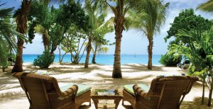 paradisischer strand unter palmen im galley bay in der karibik antigua