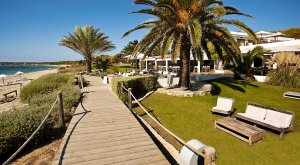 traumhafte palmen im luxus hotel Gecko Beach Club in formentera balearen 