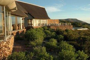 wunderschönes hotel grootbos private nature reserve in afrika südafrika gansbaii