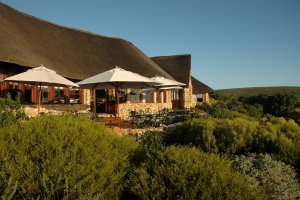 traumhaftes hotel grootbos private nature reserve in afrika südafrika gansbaii
