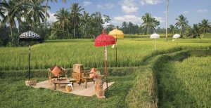 romantischer picnic im Ubud Hanging Gardens auf bali indonesien