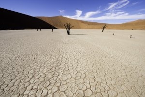 entdecken Sie die einzigartige Schönheit der Namib im Little Kulala Camp, Sossulvlei, Namib Wüste, Namibia 