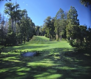 bestes golfspiel im llao llao hotel resort in patagonien argentinien südamerika