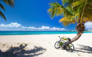 traumstrand mit palmen im luxus resort Malliouhana auf anguilla karibik