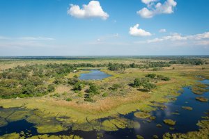  Okavango delta mit viel wasser und saftigem gras unter blauem himmel mit nur kleinen wolken darüber
