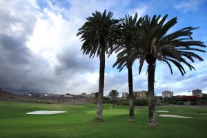 Spanien Gran Canaria grosse Palmen auf dem Golfplatz El Cortijo Club De Golf