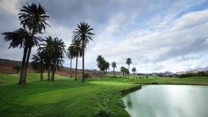 Spanien Gran Canaria grosse Palmen und Sandduenen auf dem Golfplatz El Cortijo Club De Golf