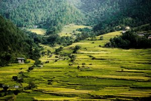 natur und mystische landschaft in der six senses luxus lodge punakha bhutan
