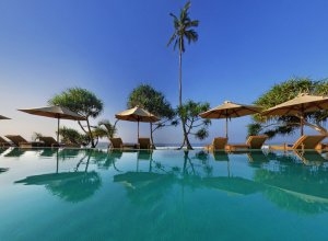 petrolfarbener pool mit blick auf den indischen ocean und sonnenliegen direkt vor den großen palmen auf sri lanka
