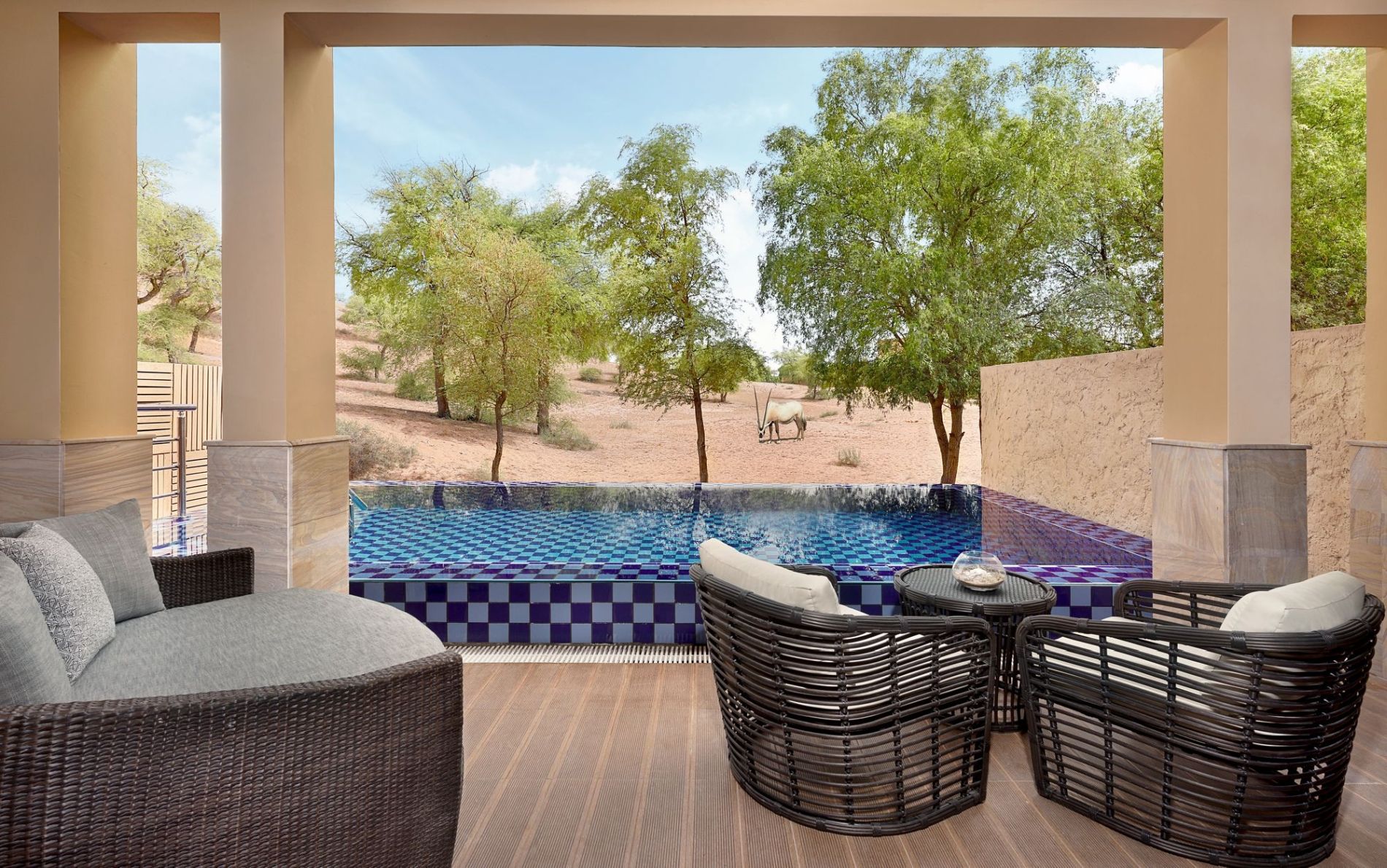 private terrasse mit blau karierten pool im orientalischen edlen luxus designer hotel the ritz carlton ras al khaimah in der al wadi wüste in den vereinigten arabischen emiraten im orient blick auf ein garzellen tier