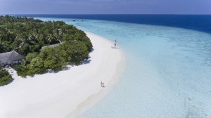 blick aus der luft auf einen weißen sandstrand der malediven mit vielen palmen und dem türkisblauem meer das flach an den strand mündet