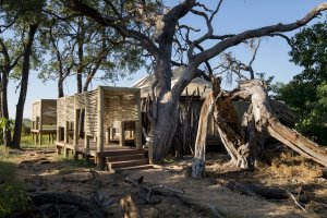 Eingangsbereich der Zelte auf Ihrer Luxusreise Botswana im andBeyond Nxabega Okavango Tented Camp