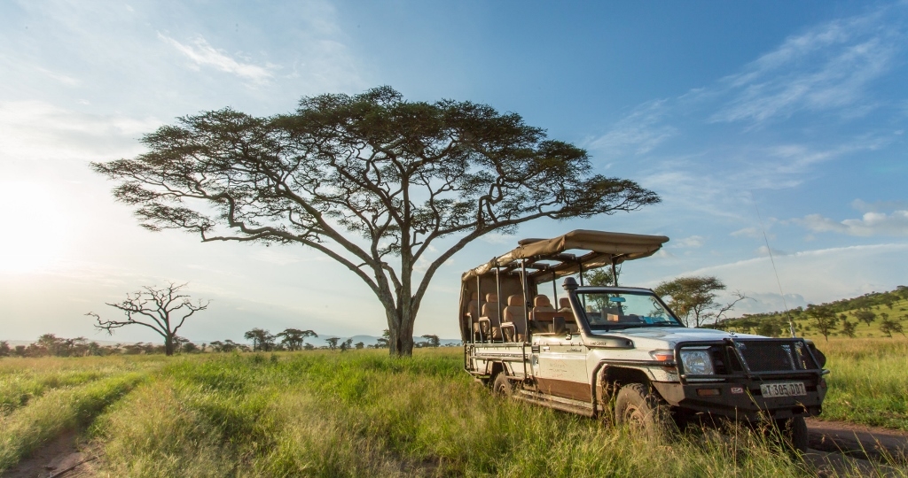 jeepsafari durch die tierwelt in afrika mit einem jeep durch die weite natur vor einem großen baum mit wunderschöner baumkrone