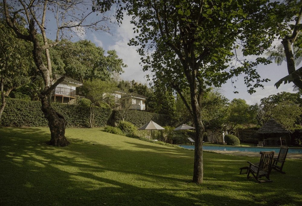 großer garten mit leichtem hang und eigenen pool unterhalb des guest house in afrika mit einzelnen bäumen die statten spenden