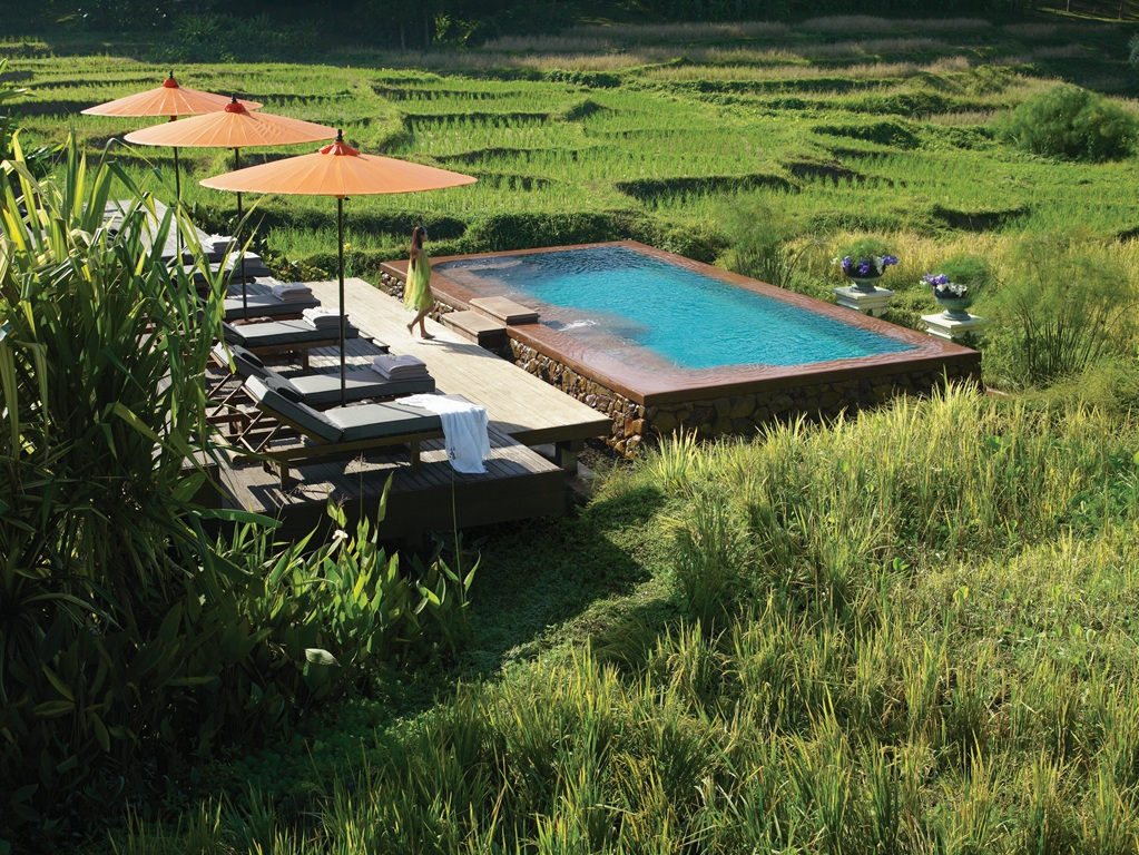 kleiner infinity pool inmitten wunderschöner landschaft thailands in chiang mai mit sechs bequemen sonnenliegen und schrimen