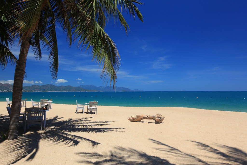 wunderschöner privater sandstrand am blauen meer mit palmen und blauem himmel in vietnam